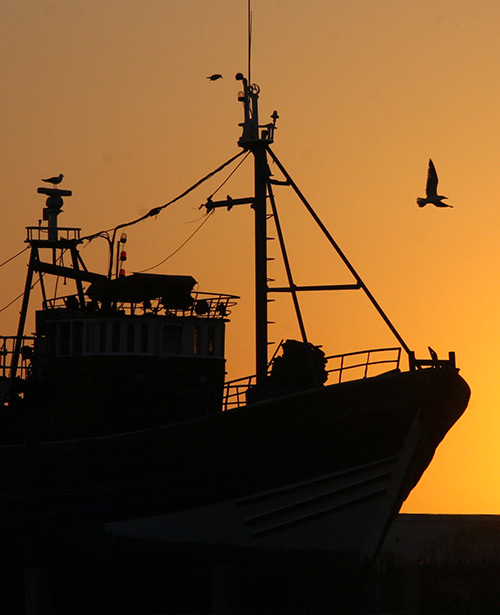 Franchising GiorgioMare - Barca