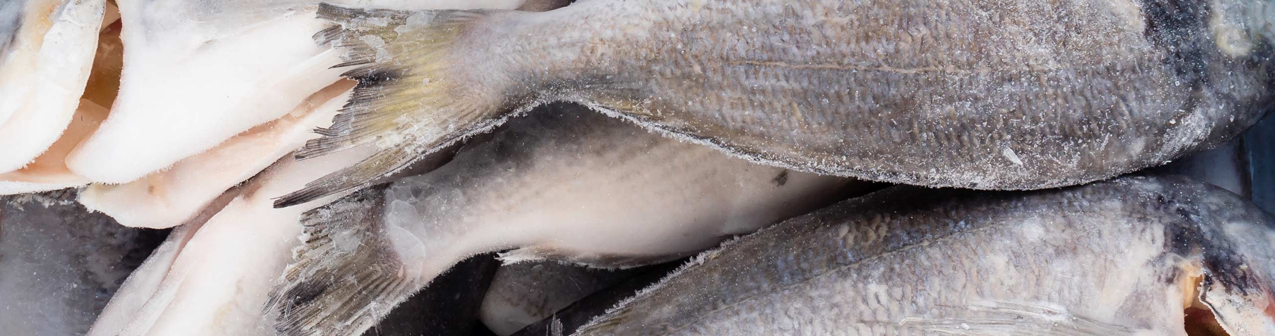 Prodotti Ittici GiorgioMare - La vasta gamma di prodotti ittici, congelati e surgelati, rappresenta il cuore del brand GiorgioMare®. Dai mari di tutto il mondo alla vostra tavola, solo prodotti di elevata qualità a prezzi sempre convenienti.